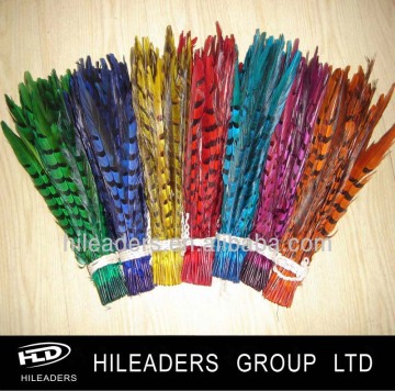 Bleched and Dyed Reeves Pheasant Tail Feathers