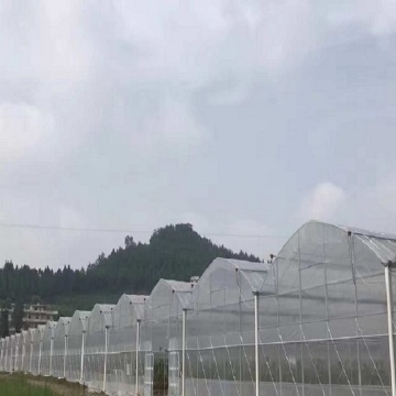 Grande serre à légumes en film plastique à plusieurs portées