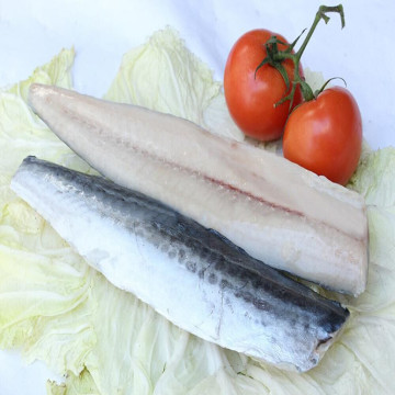 EU treatment Frozen spanish mackerel fillet Scomberomorus niphonius