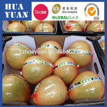 Wholesale fresh fruit honey pomelo with low price
