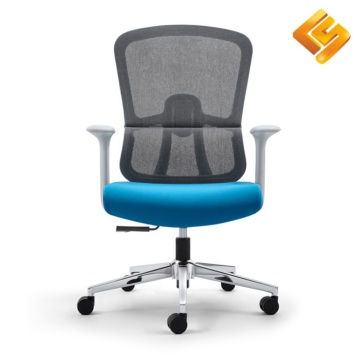 Foldable Mesh Training Chair with Padded Seat