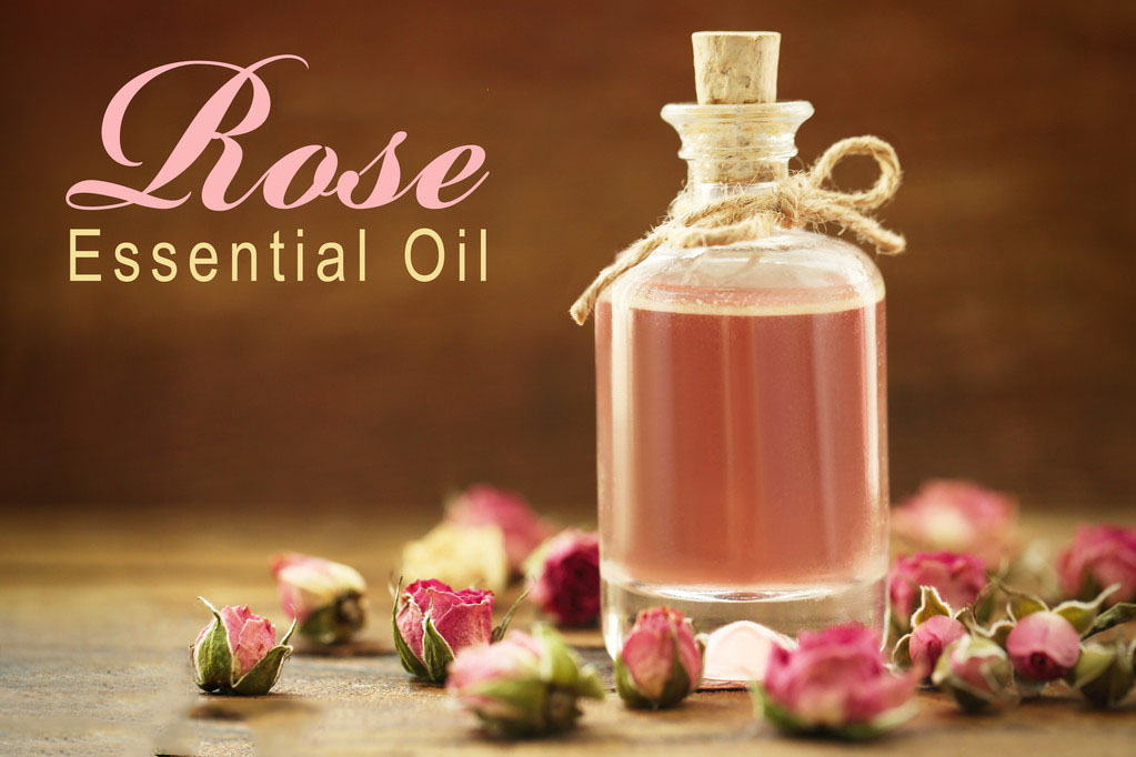 rose oil6