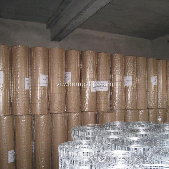 1 &#39;&#39; x 1&#39;&#39;Galvanized hàn dây lưới cuộn