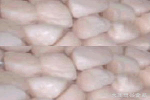 frozen-scallop