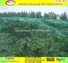 Plastic Mesh hdpe Knitted vinyard anti bird protection net