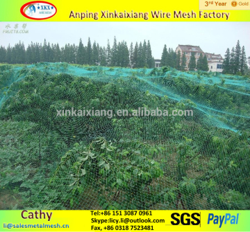 Plastic Mesh hdpe Knitted vinyard anti bird protection net