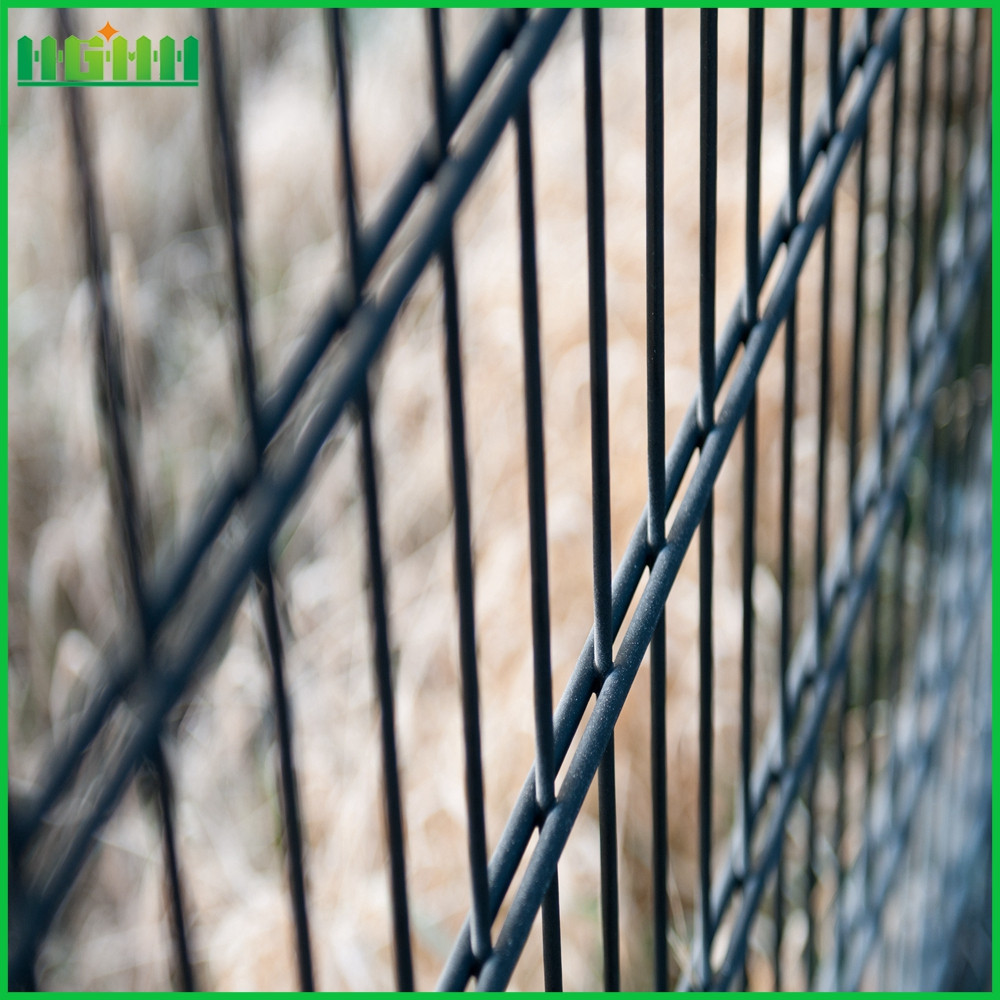 Professional double wire mesh fence