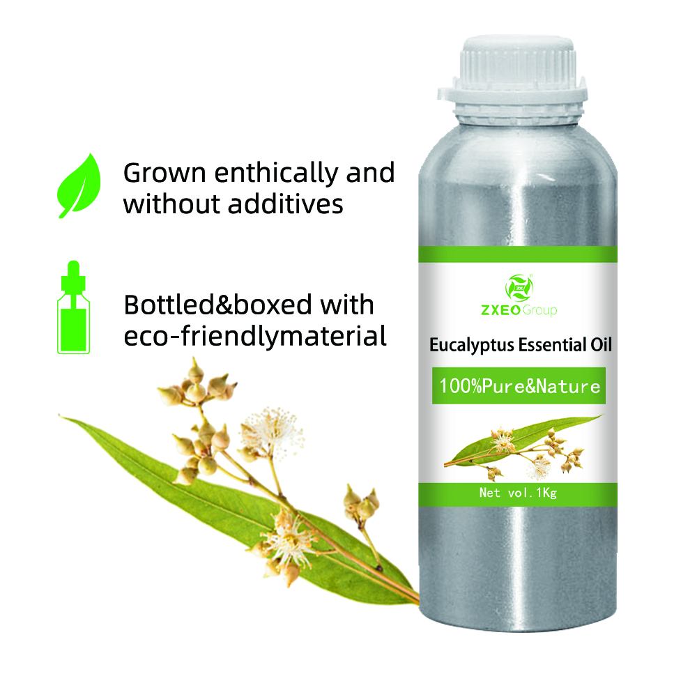 Aceite esencial de eucalipto orgánico a granel 100% puro para difusores de aromaterapia Amoristas de aire | Grado terapéutico sin diluir 1 kg
