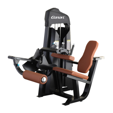 Seated Leg Curl Machine