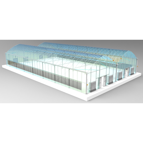 Skyplant Commérical PE Film Multispan Greenhouse