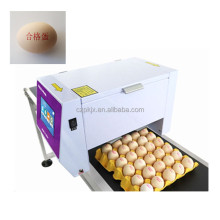 Conveyor Belt Egg Inkjet Printer for Date and Expiry Coding
