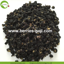 Kilang Jualan Hot Kering Hitam Wolfberry Hitam