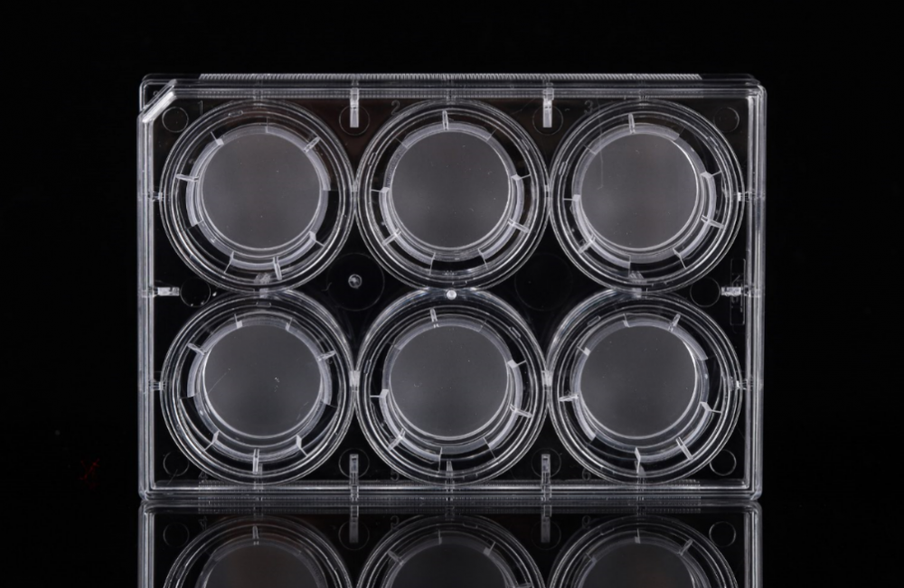 A PC-tage-sejttenyésztési betétek 6 üregű lemezekhez