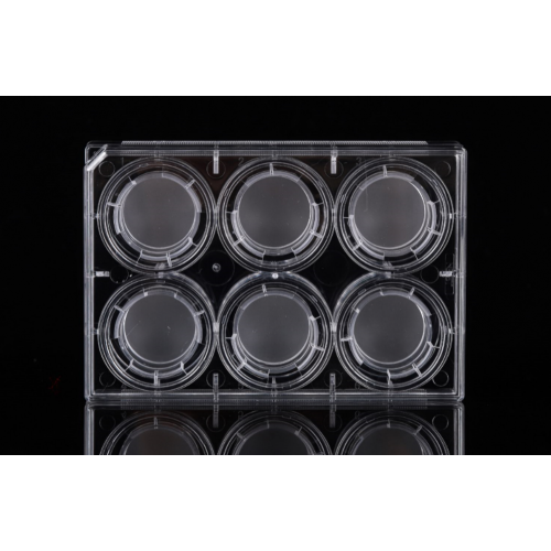 PC Memberane Cell Culture Inserts for 6-well plates