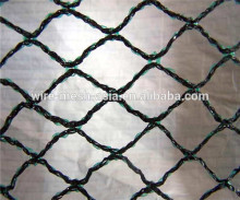 HDPE anti bird netting, plastic bird nets