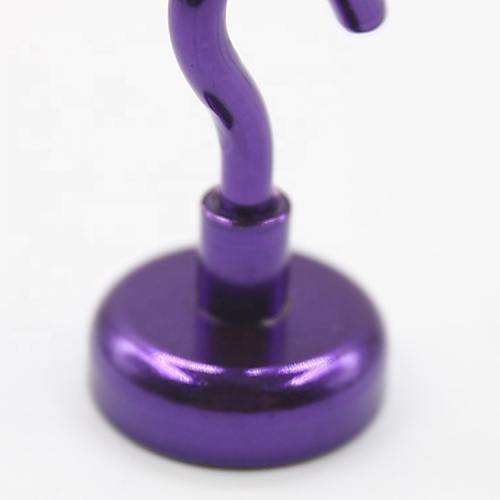 ganci porta magnetici viola