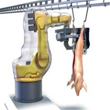 Pig Slaughter Equipment & Machinery