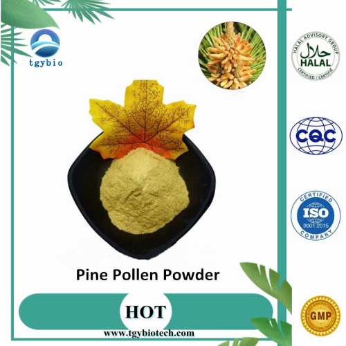 Natural Cracked Cell Wall Pine Pollen Extract Powder