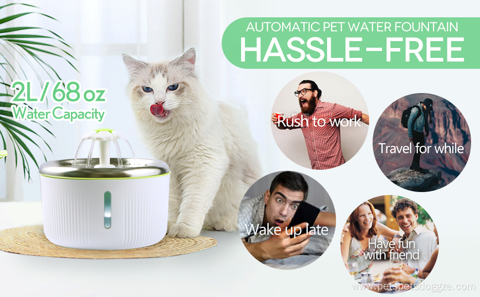 Healthy Pet Water Feeder With Filter