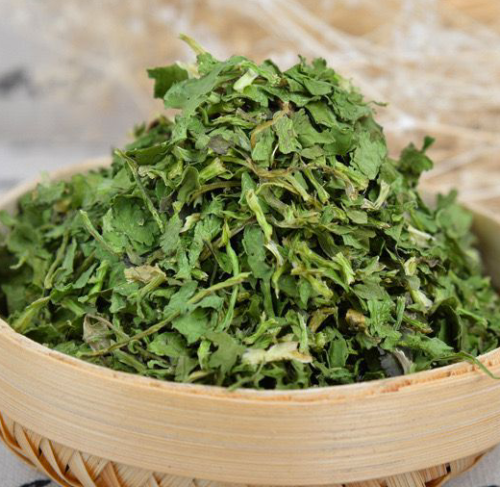 High quality dehydrated coriander 10*10mm