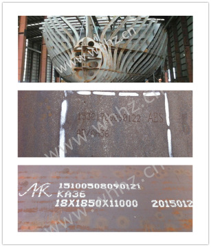 CCS-A BAS-A steel coil for shipbuilding from China supplier