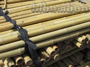 Natural bamboo poles for garden plant