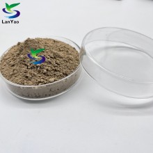 High Efficiency Nitrifying Bacteria for Wastewater Treatment