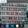 Welded Wire Mesh Professional Mesh