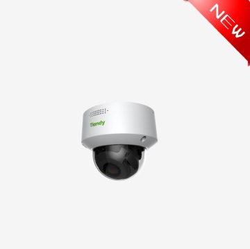 Tiandy Dome Hikvision 2Mp Ip Camera with Audio