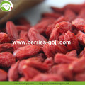 Beli Nutrisi Alami Anti Kanker Lycium Berry