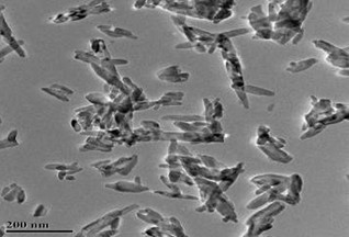 Nano Hydroxyapatite (04) Ca5 (PO4) 3 (OH)