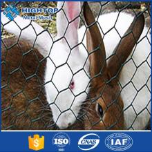 Alibaba China plastic coating hexagonal wire netting with good quality