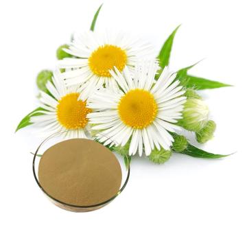 Chamomile extract powder for sleep