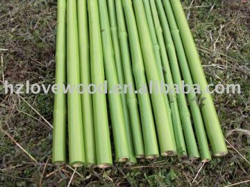 Green Bamboo Stick (Plastic Coated)