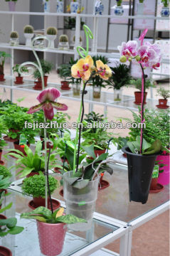 orchid flower pots,orchid basket,lowes flower pots