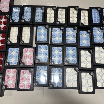 Wholesale Preserved Roses 6CM - Preserved Rose Heads and Buds in Bulk