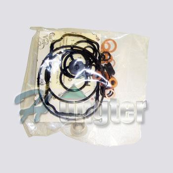 repair kit,injector nozzle,diesel element,plunger