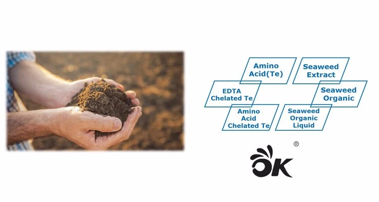 X-Humate Iba Rooting Hormones Iba Agrochemical