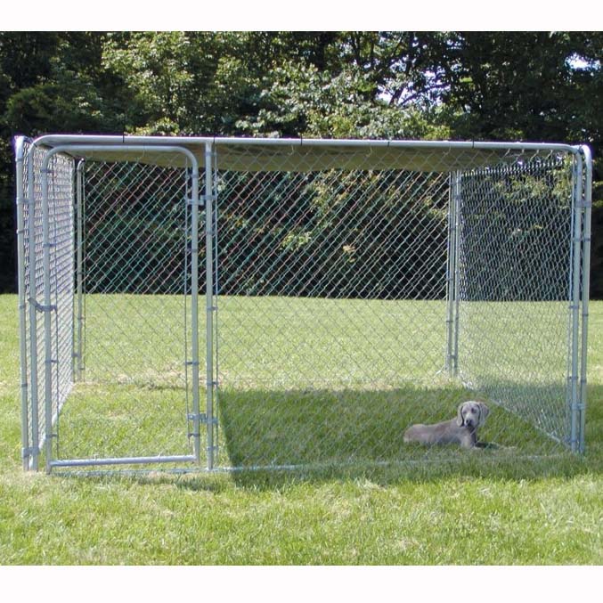 Steel Dog Cages For Sale