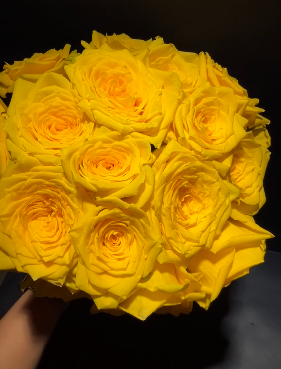 গোল্ডেন স্ট্রাইক রোজ Golden Strike Rose