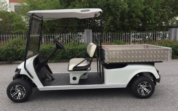 2 seats electric golf cart with cargo box