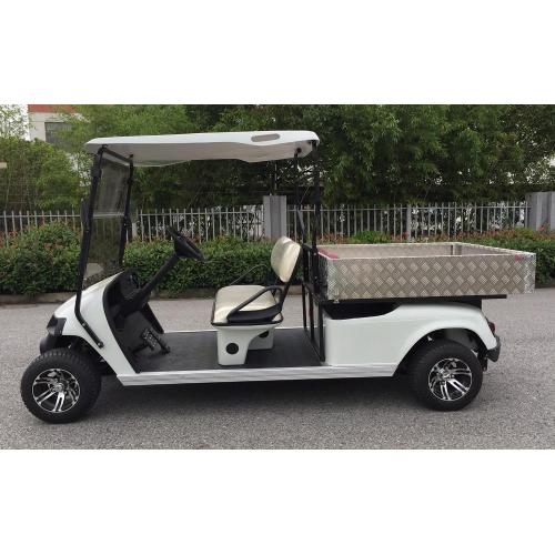 4 zetels elektrische golfkar