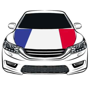 Sunshine Factory Direct Sale Custom Car Window Flags 30x45cm