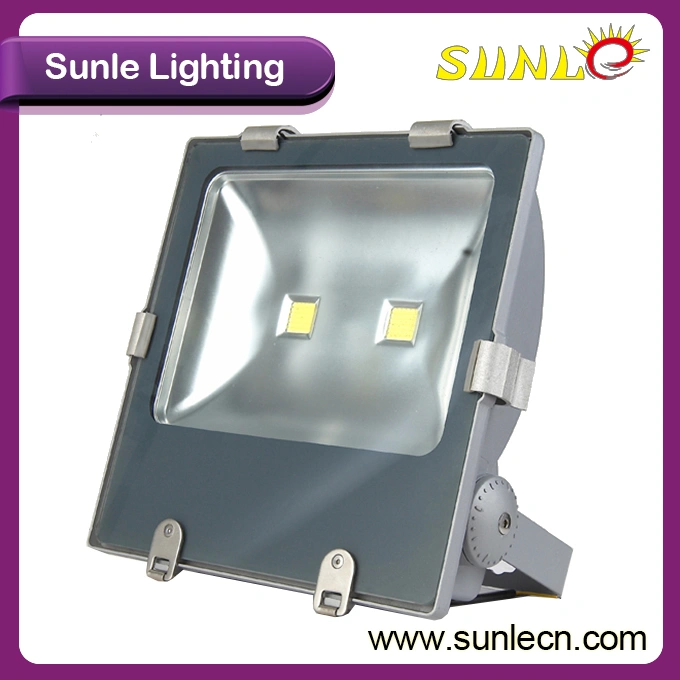 Waterproof Outside Security 100 W LED Flood Light (SLFP110 100W)