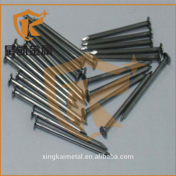 galvanized white zinc common nails 2 inch common wire nail