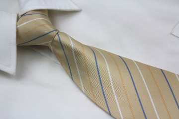 Printed Polyester Men's Ties
