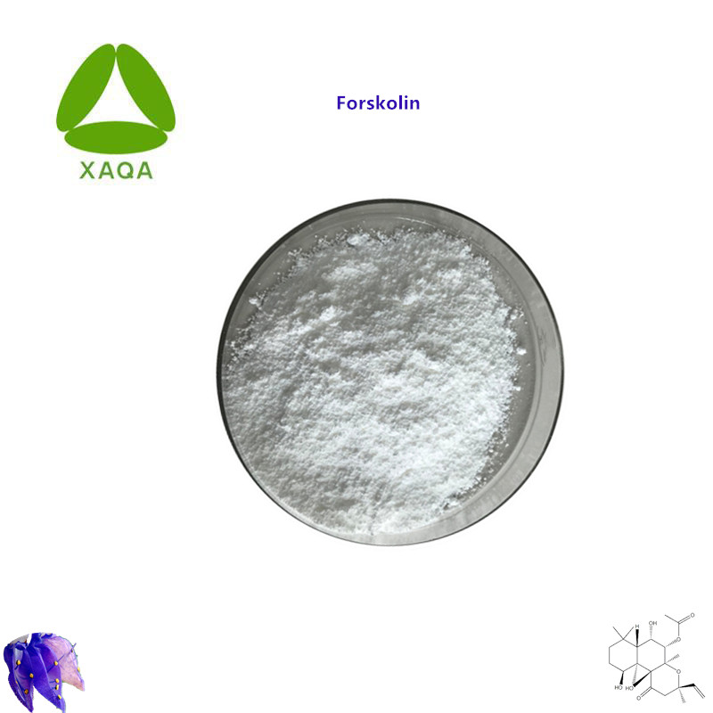 Forskolin Powder