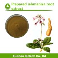 Rehmannia Glutinosa Etrex Root Powder