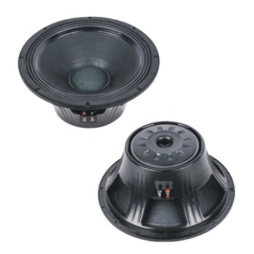 PAUDIO Full Range Subwoofer 18 Inch C18600EL speakers