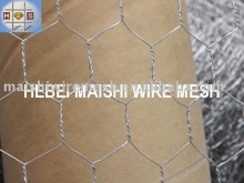 Chicken Wire Netting